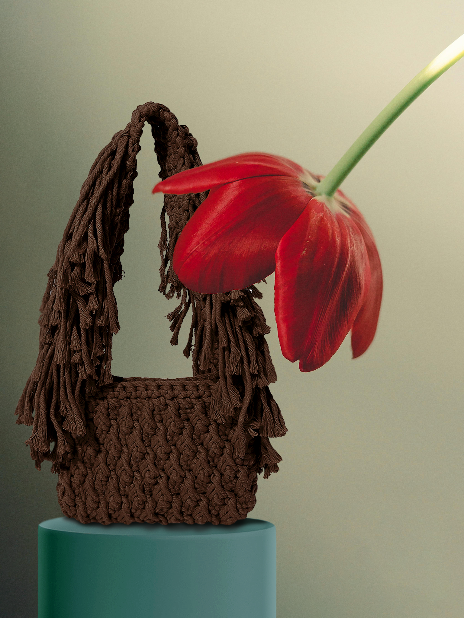 Cacao Small